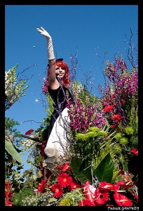 Char vêtu de rouge et mauve 