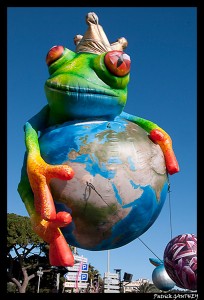 La Grenouille Roi de la Planète Bleue