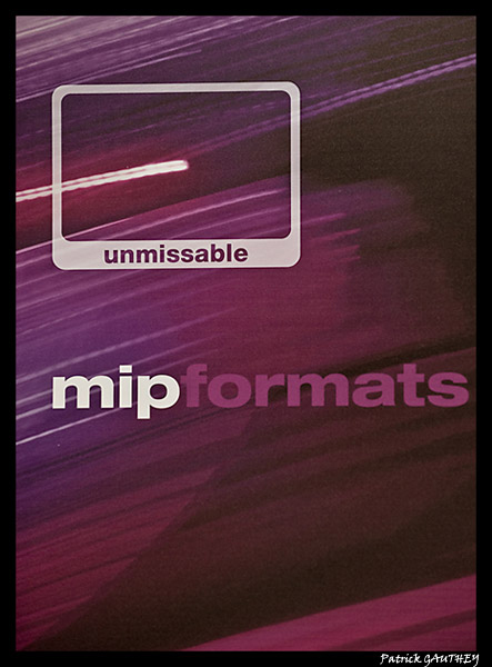 LOGO 2 MIP FORMATS 2010   7