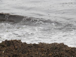 Coup de Mer Cannes 047 Coup de Mer Cannes 047