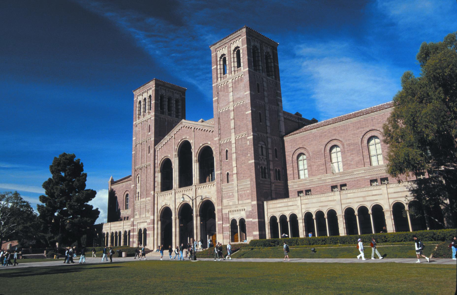 Ucla International Development Program