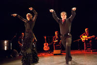 Photo Revoleo Cie Flamenco Vivo