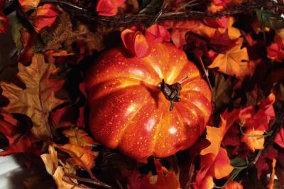 Thanksgiving-2015-au-relais-du-parc-hotel-renaissance-paris-le-parc-trocadero