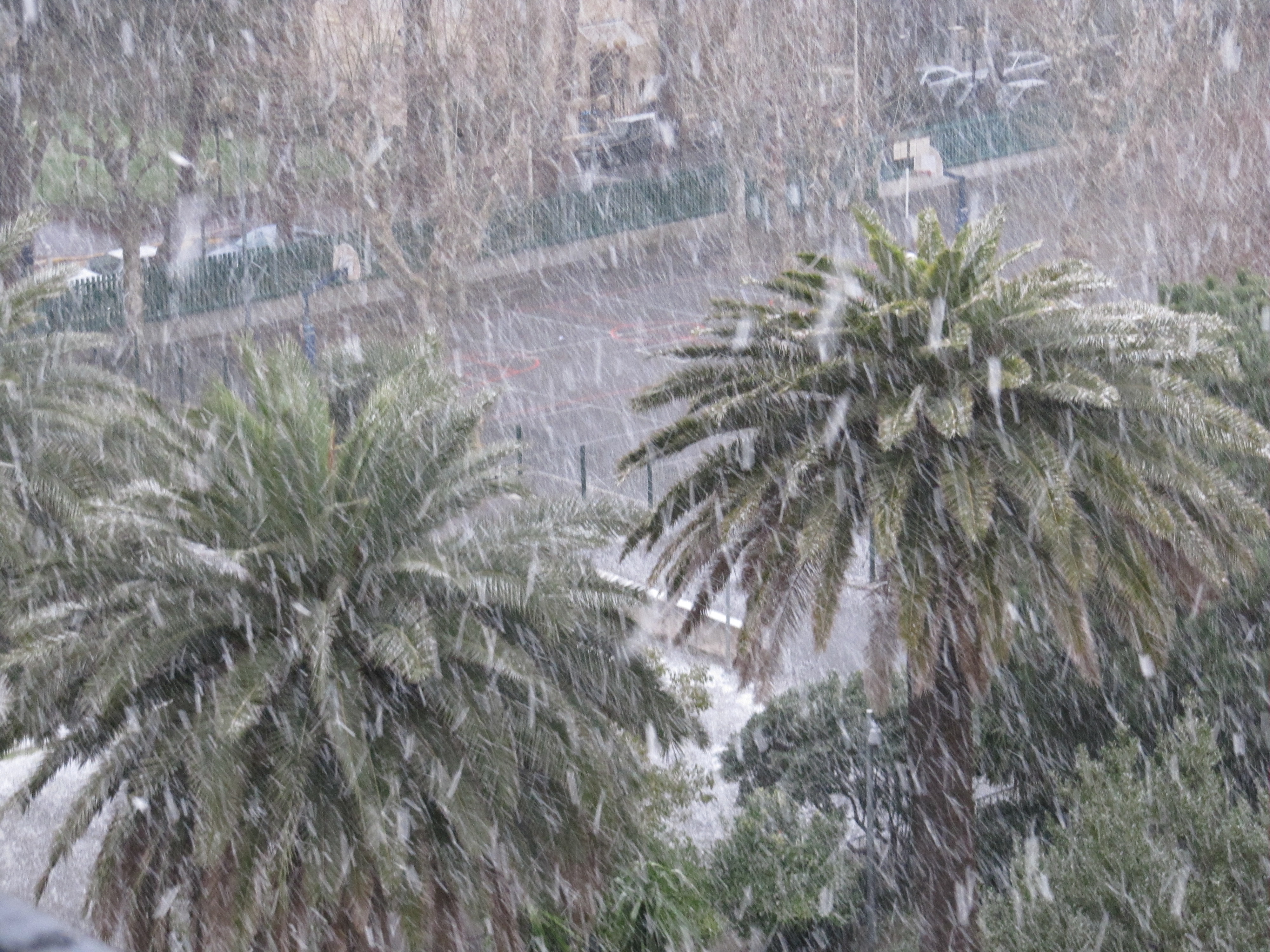 ALERTE A LA NEIGE A CANNES !!!