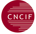 Selon la CNCIF le législateur doit donner un vrai statut aux conseillers en gestion de patrimoine indépendants…