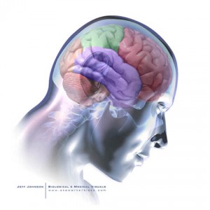 2 ème Congrès virtuel sur la précocité…