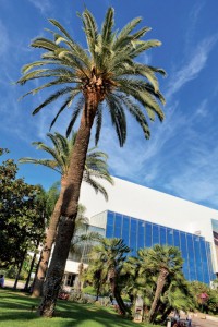 Cannes : Palais des Festivals et des Congrès : les comptes 2011 adoptés par les actionnaires en Assemblée Générale de la SEMEC…