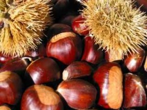 Les châtaignes…