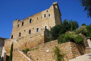 La Véraison : « 28ème Fête médiévale de Châteauneuf-du-Pape » les 3, 4 et 5 août 2012…