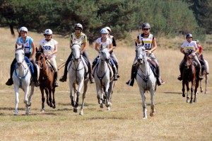 Caille : Courses Equestres d’Endurance samedi 15 Septembre 2012…