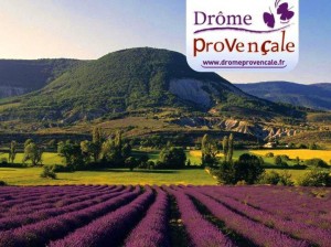 « La Drôme Provençale »…Une rentrée 2014 « Bien-Etre »…