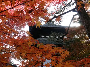 Kyoto (Japon) : Un moment d’émerveillement en Automne…