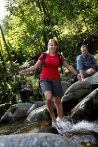 Allemagne : Un parc naturel inauguré en Forêt Noire…