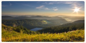 Allemagne : Escapade printanière dans le Bade-Wurtemberg…