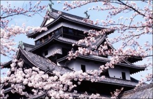 Kyoto (Japon) : La saison des cerisiers en fleurs démarre fin Mars…