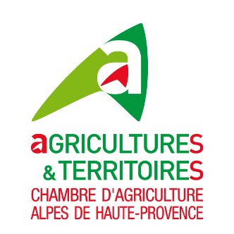 « Journée en alpage » au Col des Champs, rencontre au cœur des alpages…