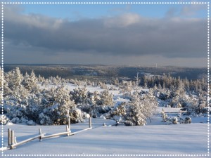 Hiver : idées de visite dans le Bade-Wurtemberg…