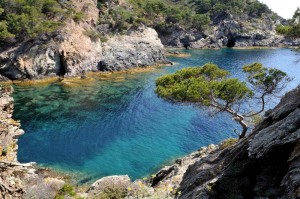 ILES DE PORQUEROLLES : UNE INITIATIVE ET UN LABEL INTERNATIONAL POUR VALORISER DES TERRITOIRES INSULAIRES REMARQUABLES…