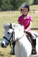 Les poneys d’Ile de France à la parade du Nouvel An 2016…