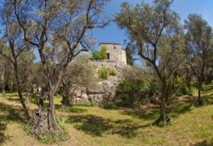 Saison 2016 : centenaire de l’acquisition de l’abbaye Saint-André et un agenda qui convie les arts au jardin…