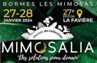 Bormes les mimosas : Mimosalia 2024…